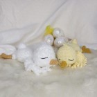 Piou le petit poussin : Patron Au Crochet PDF