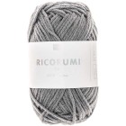 Fil Ricorumi Ardoise