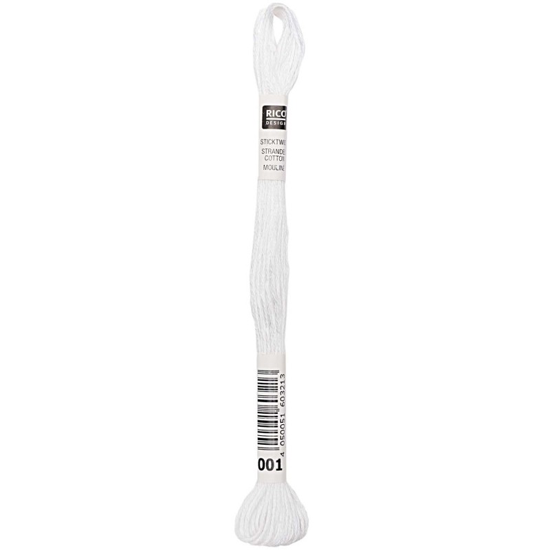 Fil à broder mouliné Blanc
